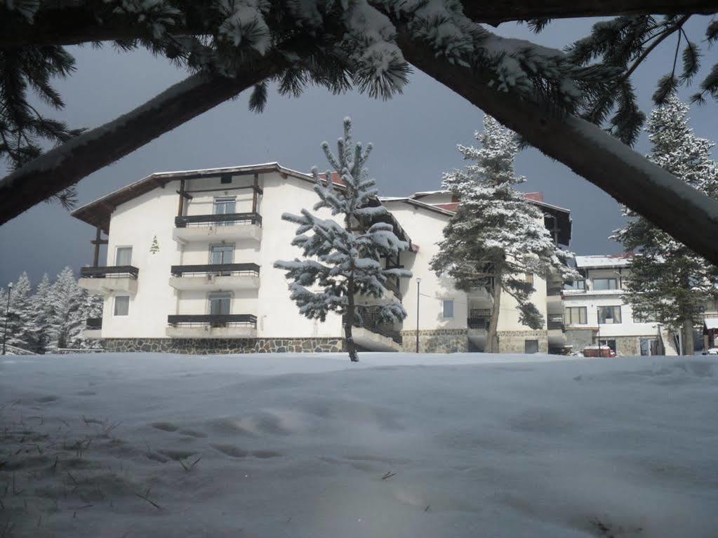 Bor Hotel Belitsa  Buitenkant foto