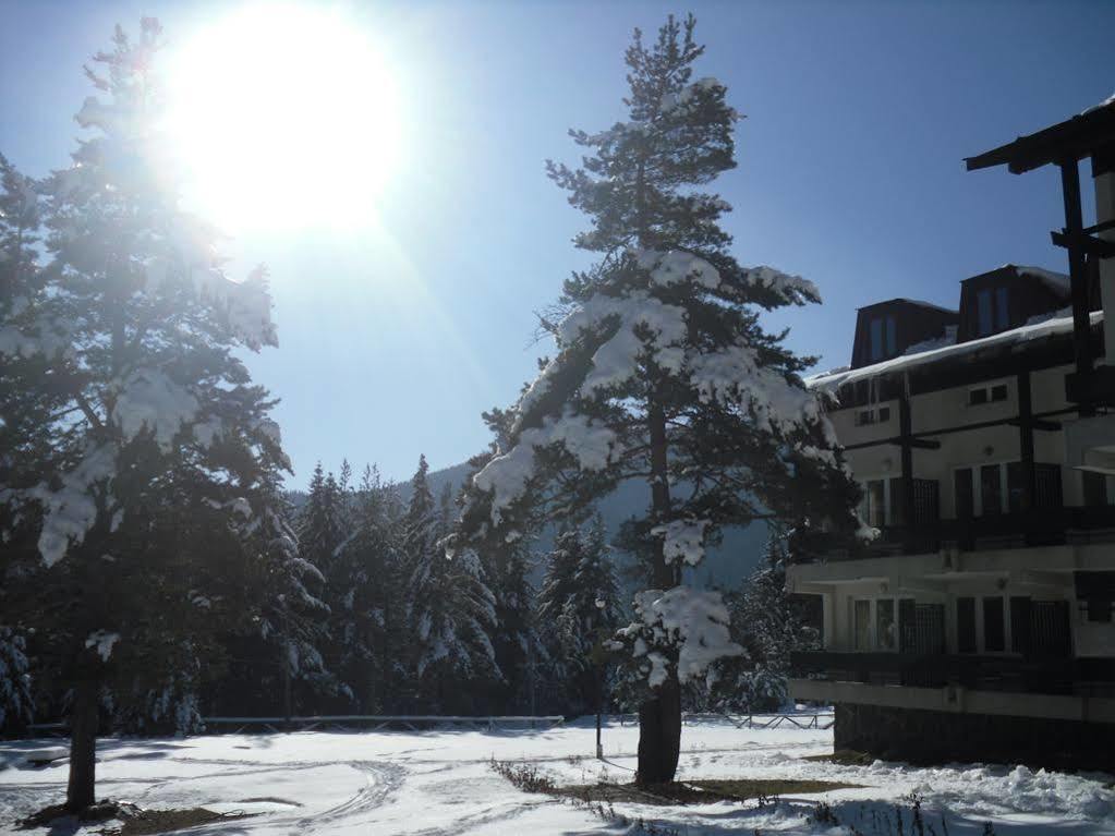 Bor Hotel Belitsa  Buitenkant foto