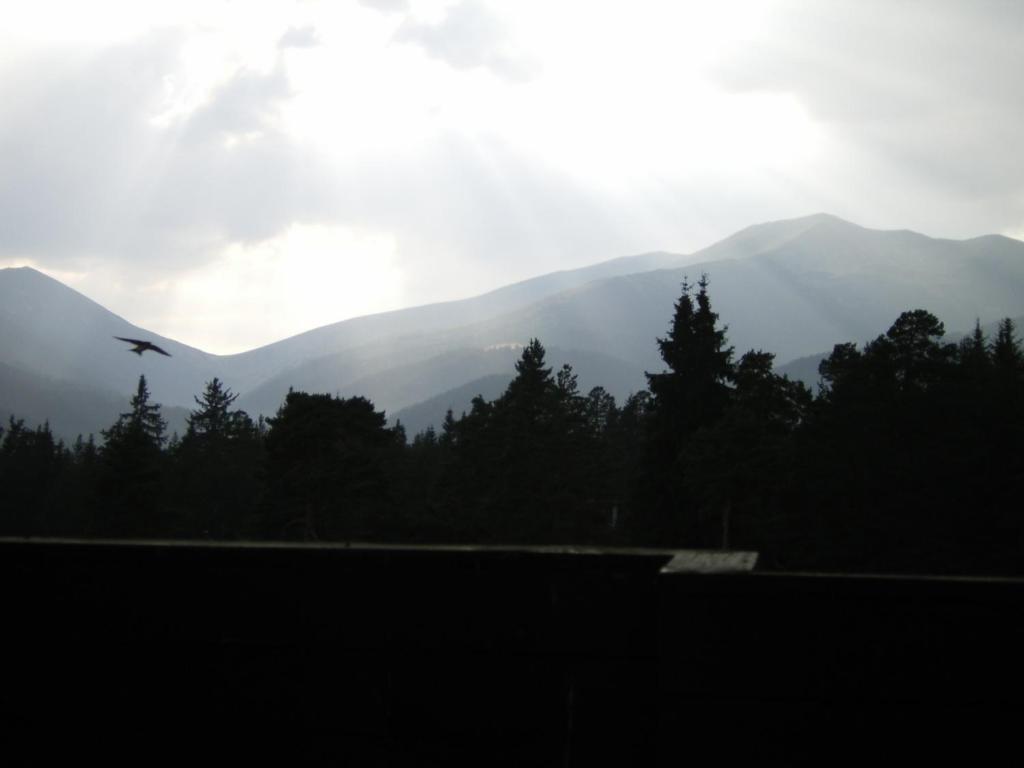 Bor Hotel Belitsa  Kamer foto